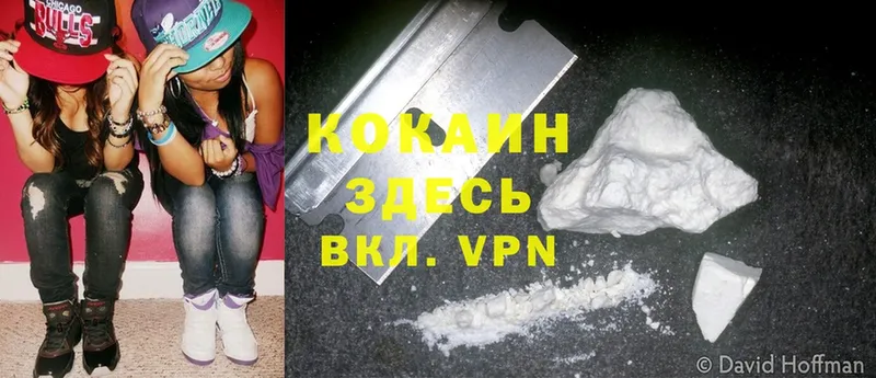 маркетплейс состав  Саранск  COCAIN Fish Scale 